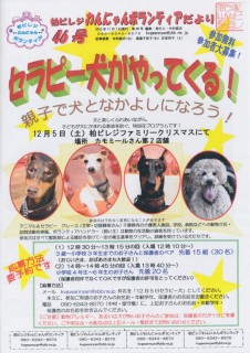 セラピー犬